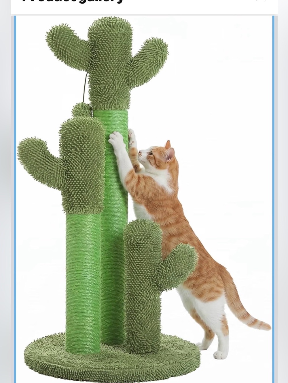 Green Cactus Cat Scratching Post - Pets Cat Brand